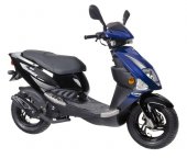 2008 PGO T-Rex 125 photo